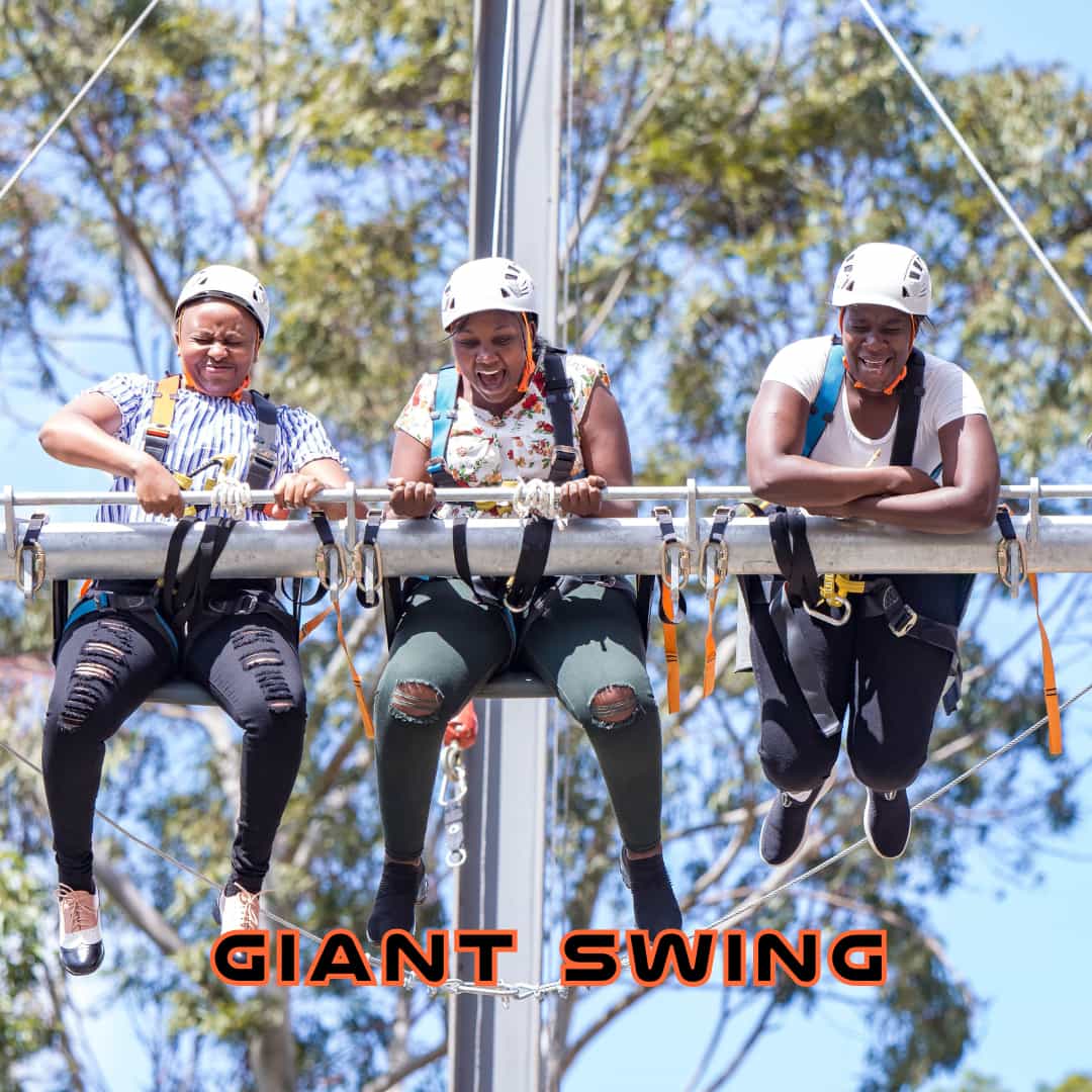Giant Swing At The Hub Karen