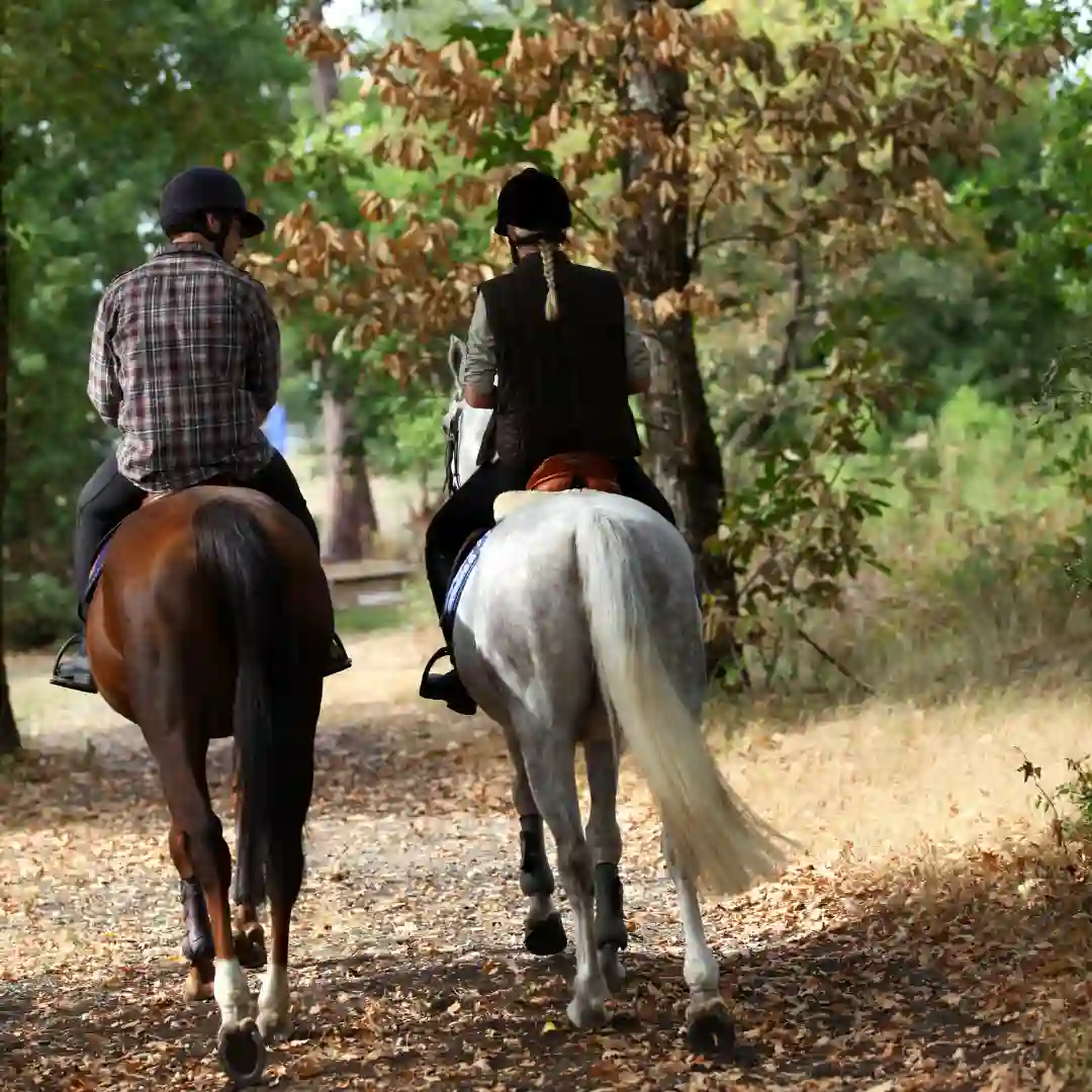 One Hour Horse Riding For Two In Karen