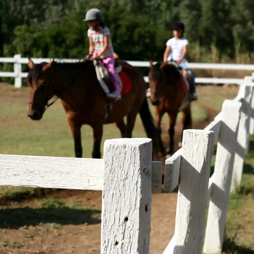 Horse Riding Lessons- 10 classes
